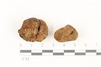 登錄號:F0037846藏品圖，第1張