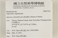 登錄號:F0037850藏品圖，第2張