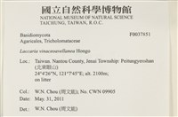 登錄號:F0037851藏品圖，第2張