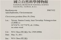 登錄號:F0037852藏品圖，第2張