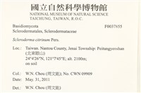 登錄號:F0037855藏品圖，第2張