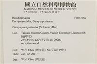 登錄號:F0037856藏品圖，第2張