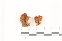 登錄號:F0037856藏品圖，第1張