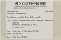館號:F0037858藏品圖，第2張