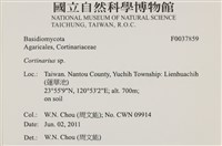 登錄號:F0037859藏品圖，第2張