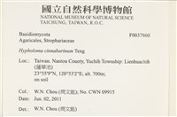 登錄號:F0037860藏品圖，第2張