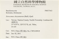 登錄號:F0037863藏品圖，第2張