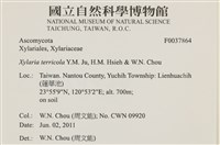 登錄號:F0037864藏品圖，第2張