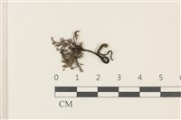 登錄號:F0037864藏品圖，第1張
