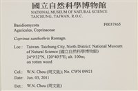 登錄號:F0037865藏品圖，第2張