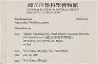 登錄號:F0037866藏品圖，第2張