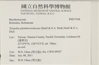 登錄號:F0037868藏品圖，第2張