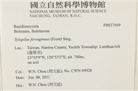 登錄號:F0037869藏品圖，第2張