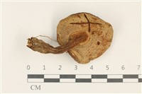 登錄號:F0037869藏品圖，第3張