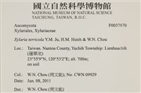 登錄號:F0037870藏品圖，第2張