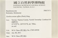 登錄號:F0037871藏品圖，第2張