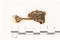 登錄號:F0037872藏品圖，第1張