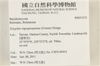 登錄號:F0037873藏品圖，第2張