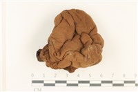 登錄號:F0037873藏品圖，第1張