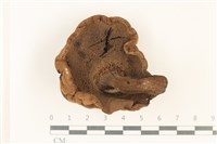 登錄號:F0037873藏品圖，第3張