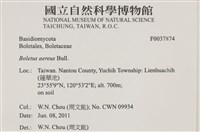 登錄號:F0037874藏品圖，第2張