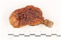 登錄號:F0037876藏品圖，第1張