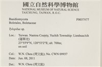 登錄號:F0037877藏品圖，第2張