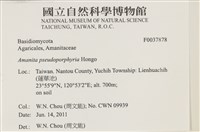 登錄號:F0037878藏品圖，第2張
