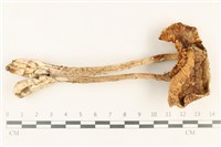 登錄號:F0037878藏品圖，第1張
