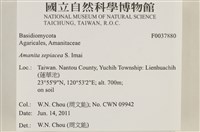 登錄號:F0037880藏品圖，第2張