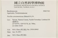 登錄號:F0037881藏品圖，第2張