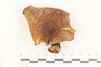 登錄號:F0037881藏品圖，第1張