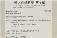 登錄號:F0037883藏品圖，第2張