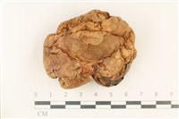 登錄號:F0037883藏品圖，第1張