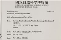 登錄號:F0037884藏品圖，第2張