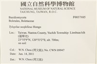 登錄號:F0037885藏品圖，第2張