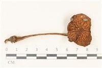 登錄號:F0037886藏品圖，第1張