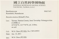 館號:F0037887藏品圖，第2張