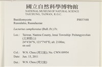 登錄號:F0037888藏品圖，第2張