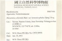 登錄號:F0037890藏品圖，第2張