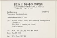 登錄號:F0037892藏品圖，第2張