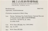 登錄號:F0037893藏品圖，第2張