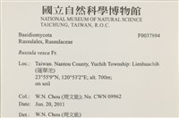 登錄號:F0037894藏品圖，第2張