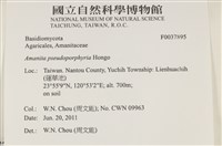 登錄號:F0037895藏品圖，第2張