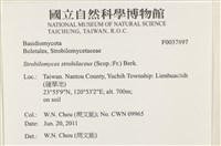 登錄號:F0037897藏品圖，第2張