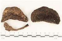 登錄號:F0037897藏品圖，第1張