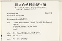 登錄號:F0037899藏品圖，第2張