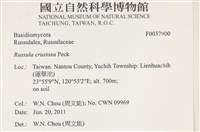 登錄號:F0037900藏品圖，第2張