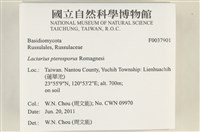 登錄號:F0037901藏品圖，第2張