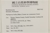 登錄號:F0037902藏品圖，第2張